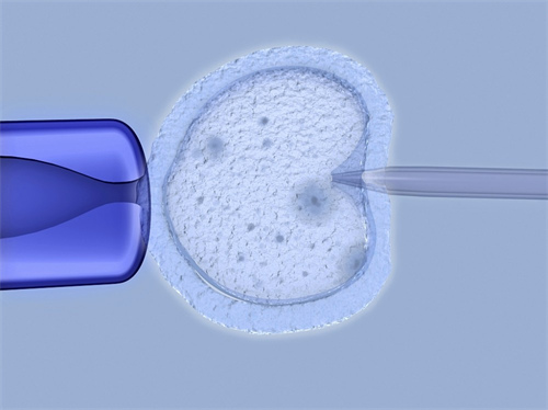 珠海44岁助孕龙凤胎：2022年珠海私人借卵试管婴儿费用介绍! 通过试管婴儿生男孩的条件是什么？